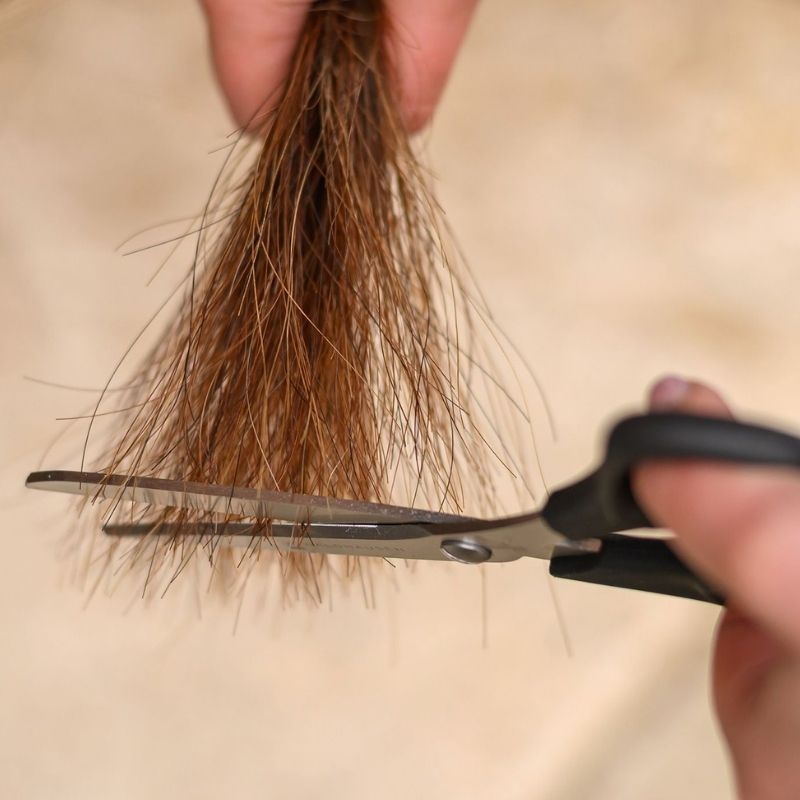 Scissors Mane & Tail Easy Cut Black