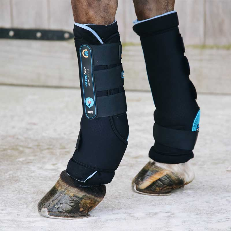 Magnetic Horse Boots Recuptex Black