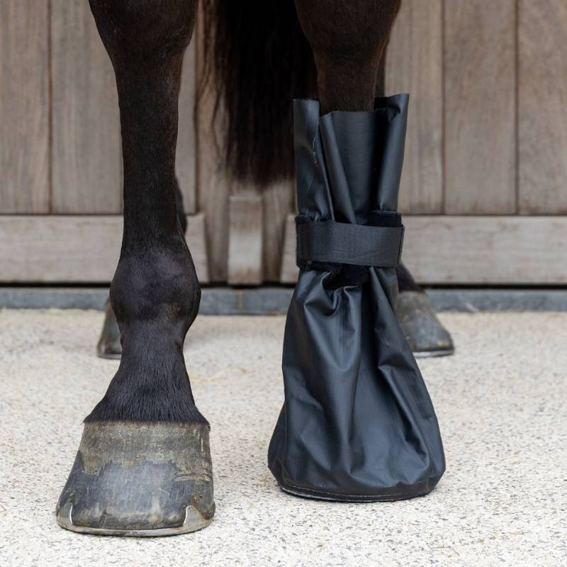 Hoof Boots Medical & Ice 2-pack Black