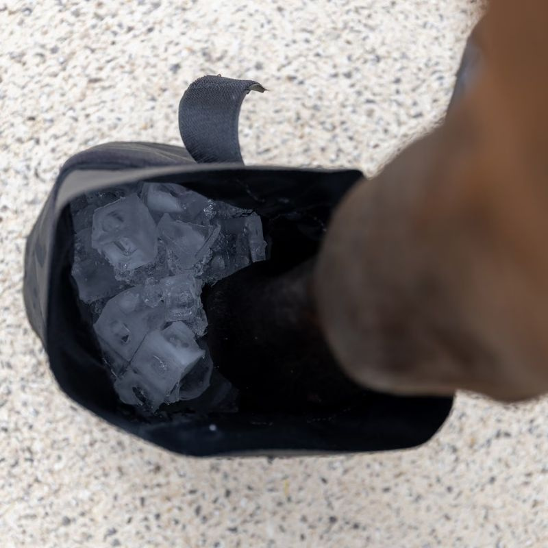 Hoof Boots Medical & Ice 2-pack Black