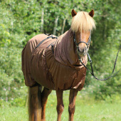 Sweetitch Rug Icelandic UV-Protection Brown Sweetitch Rug Icelandic UV-Protection Brown