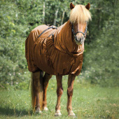 Sweetitch Rug Icelandic UV-Protection Bronze Sweetitch Rug Icelandic UV-Protection Bronze