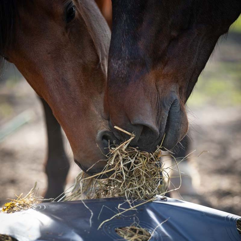 Hay Bag HayFlow Bag Rectangular Navy Blue