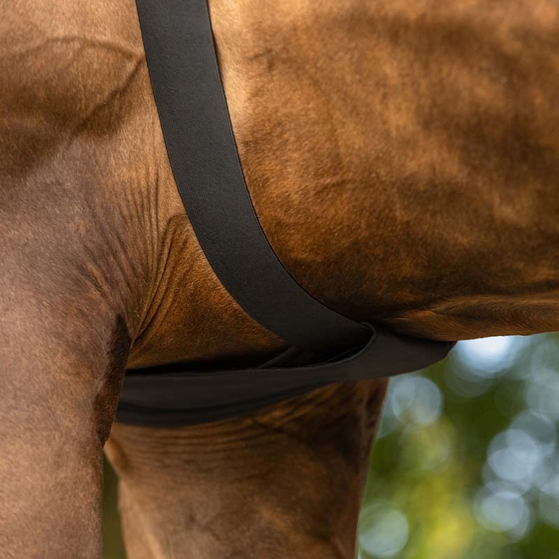 Shoulder Guard with Neck and Hood Black
