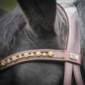 Browband E-logo Gold Crystals Brown/Brass Browband E-logo Gold Crystals Brown/Brass
