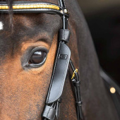 Focus Blinkers for Cheekpiece Black Focus Blinkers for Cheekpiece Black