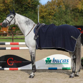 Fleece Rug Show-Line 600 Navy Blue Fleece Rug Show-Line 600 Navy Blue