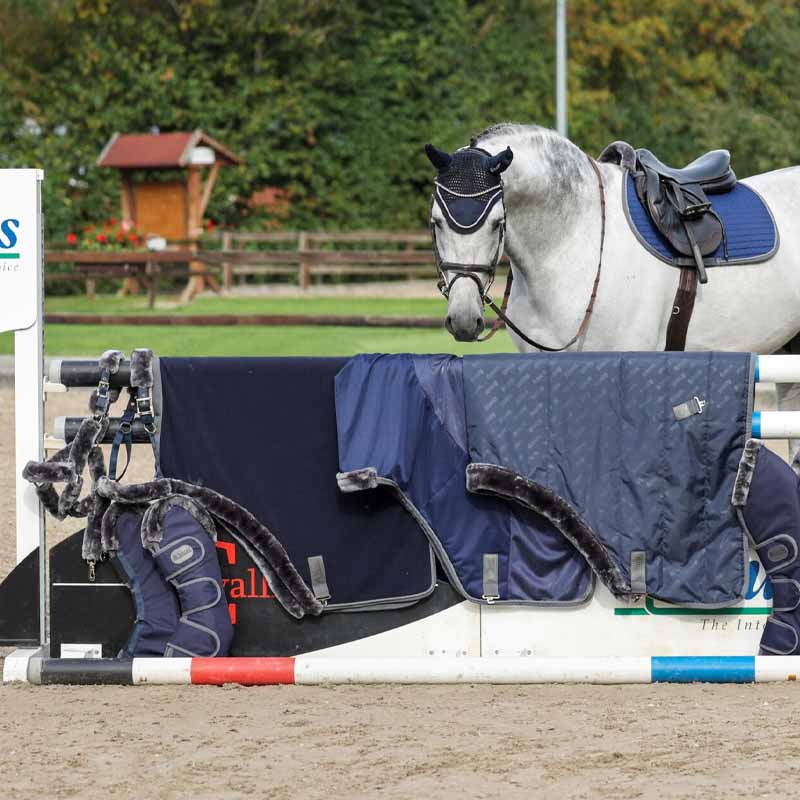 Fleece Rug Show-Line 600 Navy Blue