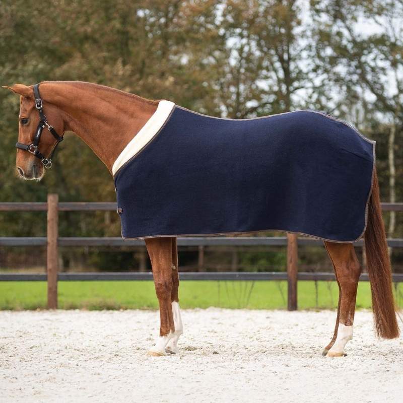 Wool Rug Deluxe Navy Blue