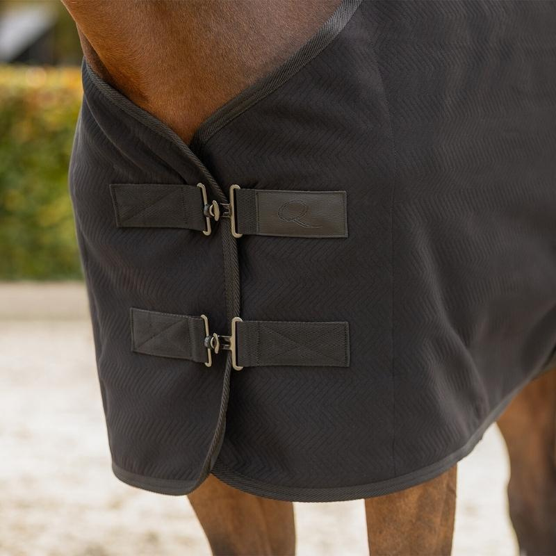 Show Rug Avenna Black