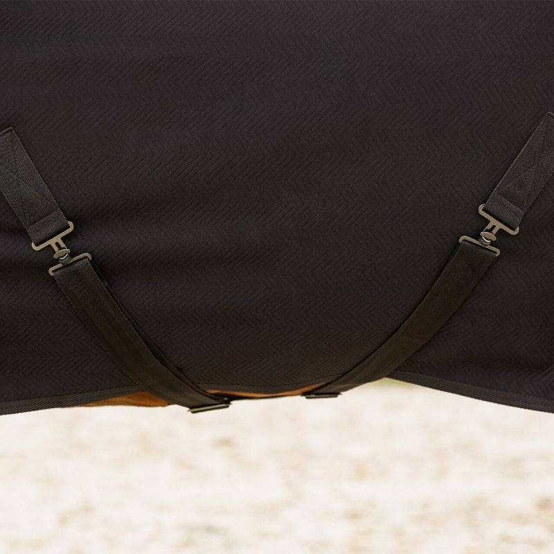 Show Rug Avenna Black