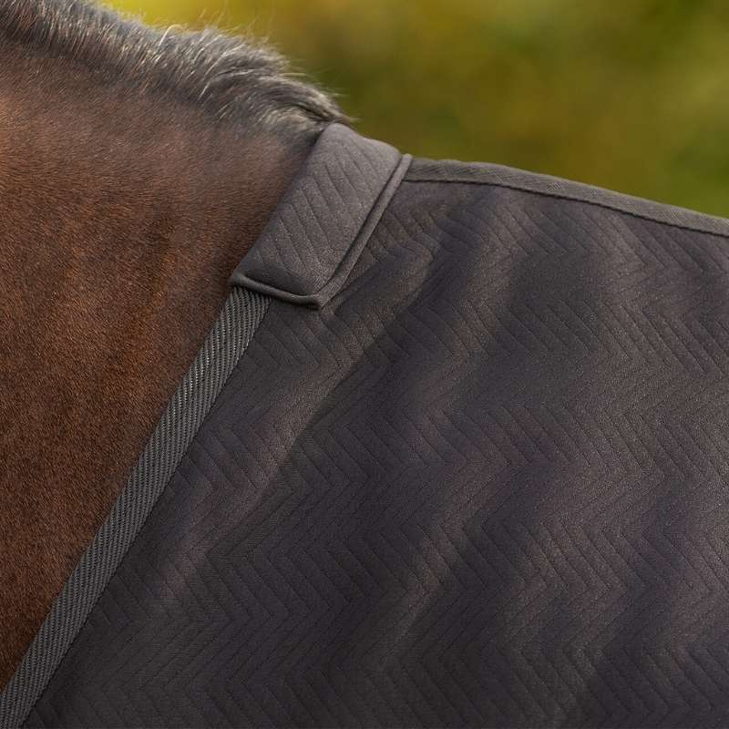 Show Rug Avenna Black
