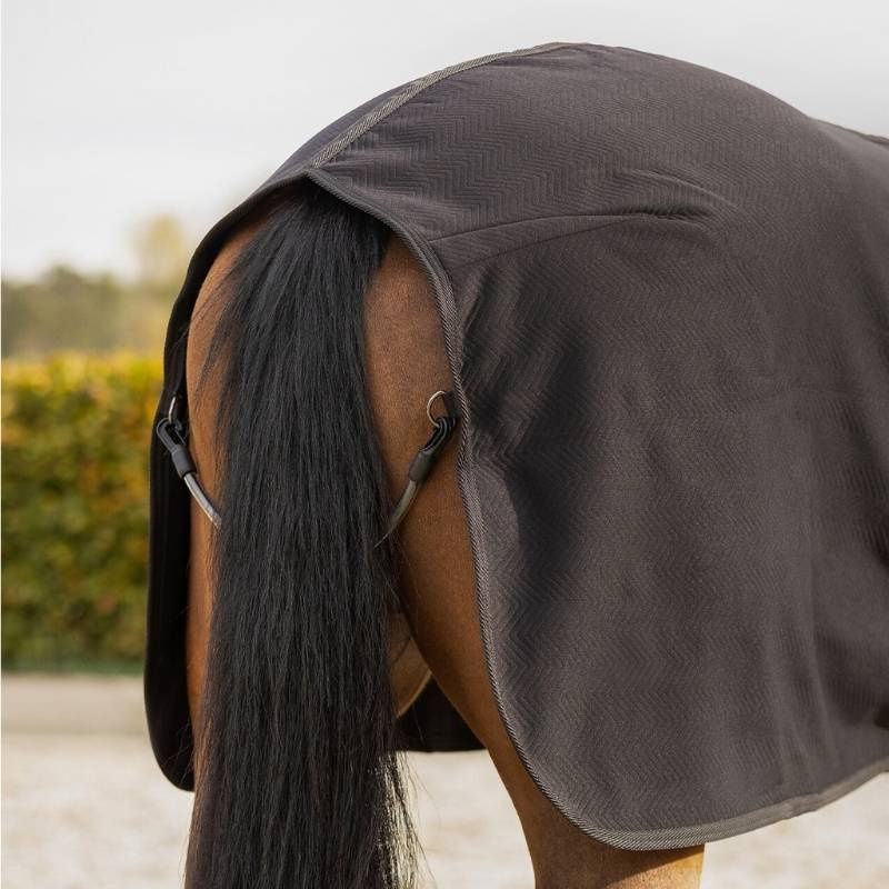 Show Rug Avenna Black