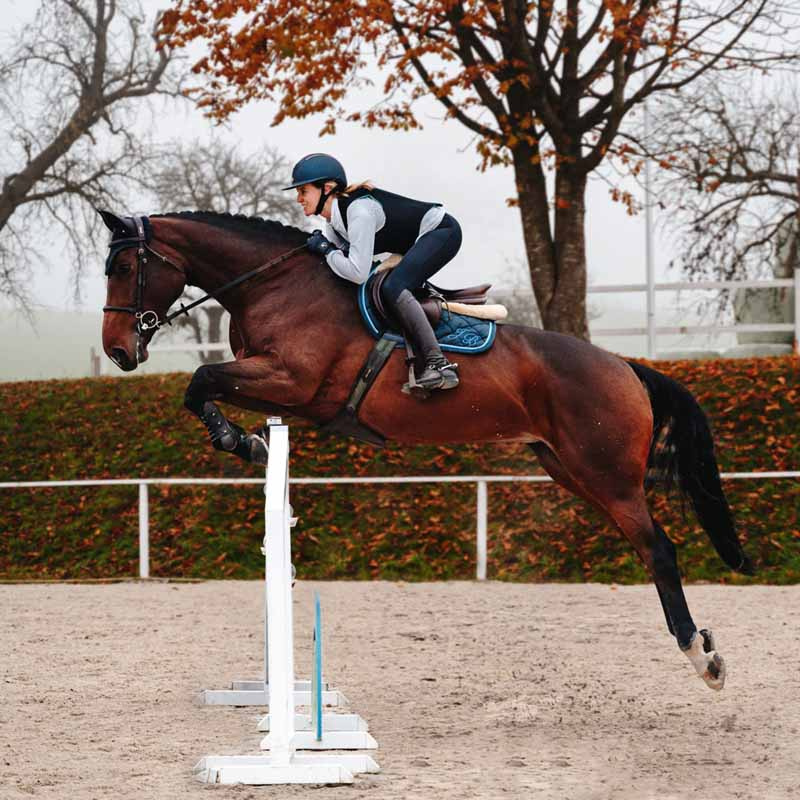 Back Protector Ballistic Flex Fit Slim Black/Silver 