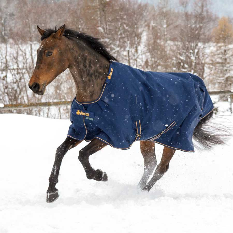 Winter Rug Irish Turnout 300g Navy/0Gold