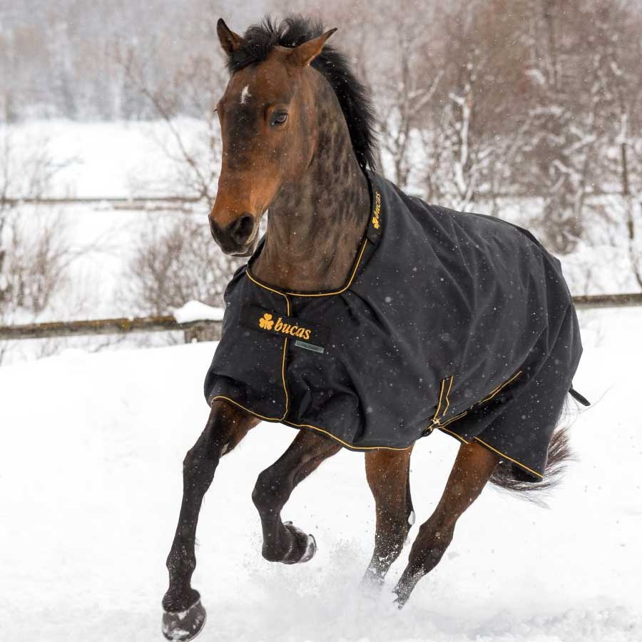 Winter Rug Irish Turnout 300g Black/Gold