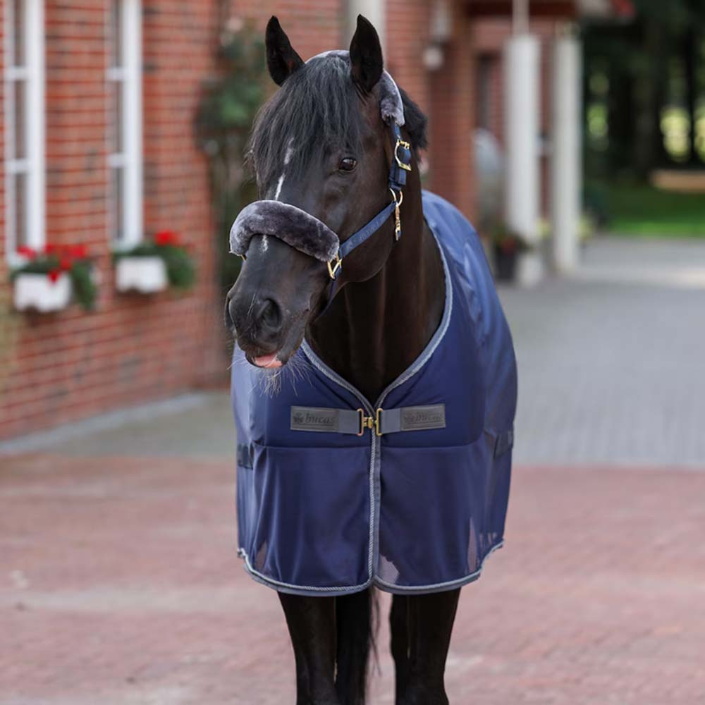 Sweat Rug Show-Line Competition Cooler Navy Blue