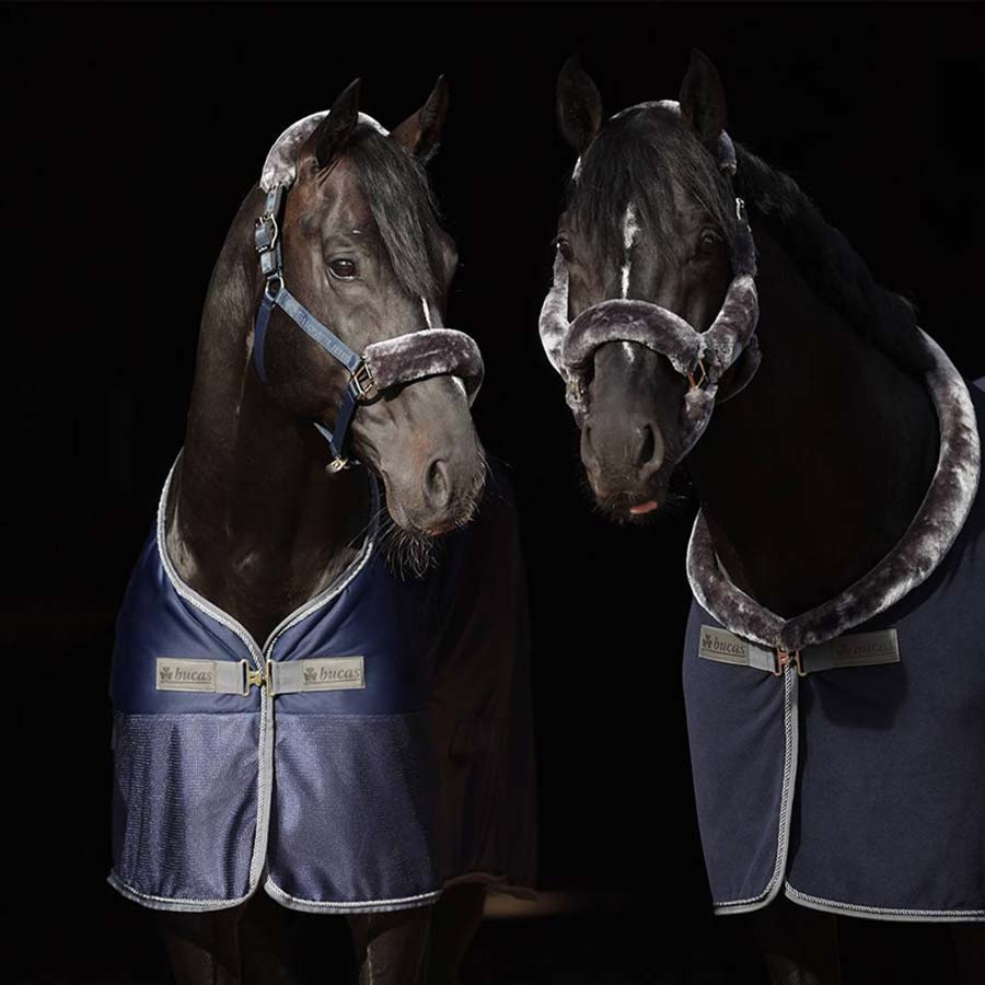 Sweat Rug Show-Line Competition Cooler Navy Blue