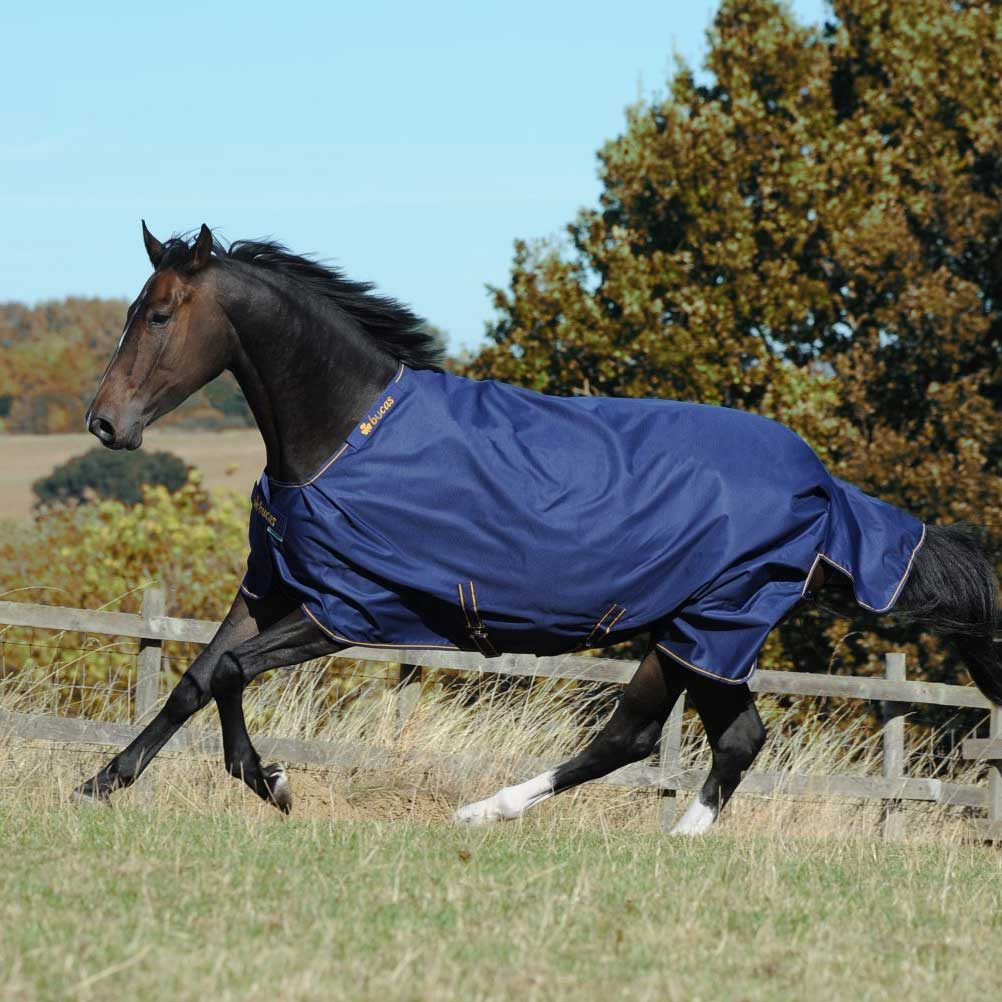 Winter Rug Irish Turnout 150g Navy/Gold