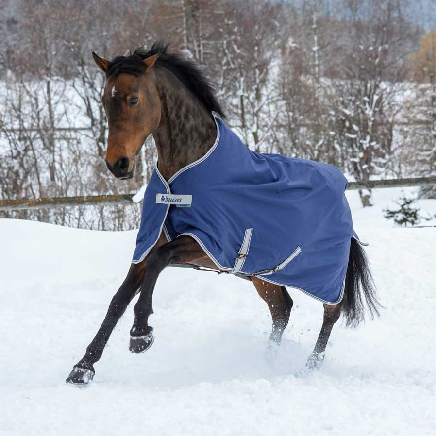 Winter Rug Pony Freedom Turnout 150g Navy