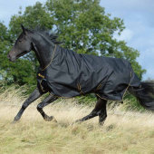 Rain Rug Irish Turnout 0g Black/Gold Rain Rug Irish Turnout 0g Black/Gold