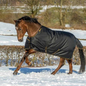 Winter Rug Irish Turnout 250g Black/Gold Winter Rug Irish Turnout 250g Black/Gold