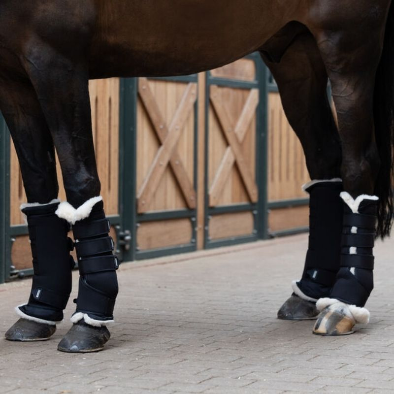 Coaster Evo Wool till Stallbandage Pro Nature