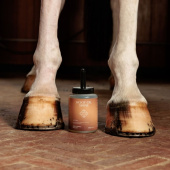 Hoof Oil Shine Natural 500ml Hoof Oil Shine Natural 500ml