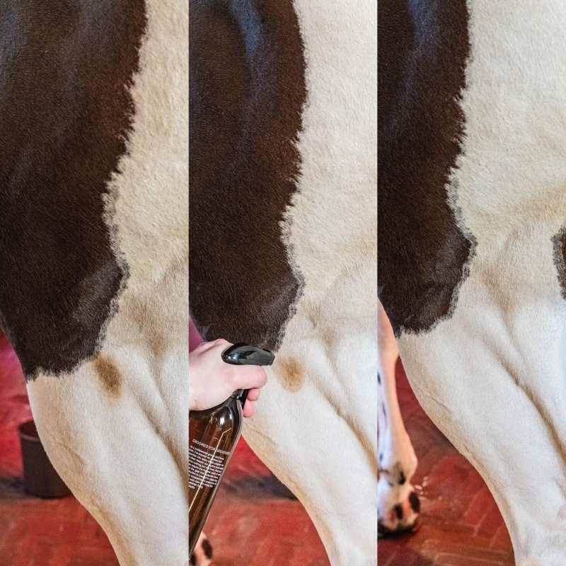 Dry Shampoo Green Spot & Dust Remover Almond 500ml