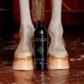 Grey Horse Shampoo Almond Gloss Purple 500ml Grey Horse Shampoo Almond Gloss Purple 500ml