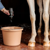 Grey Horse Shampoo Almond Gloss Purple 500ml Grey Horse Shampoo Almond Gloss Purple 500ml