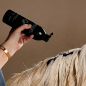 Grey Horse Shampoo Almond Gloss Purple 500ml Grey Horse Shampoo Almond Gloss Purple 500ml