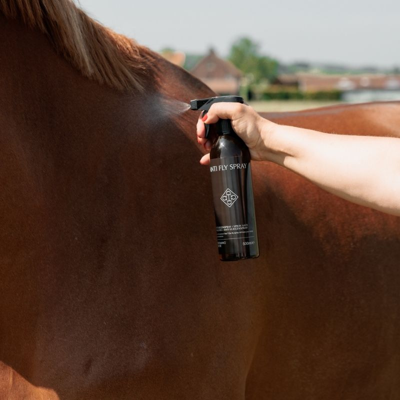 Fly Spray Anti Fly Spray 500ml