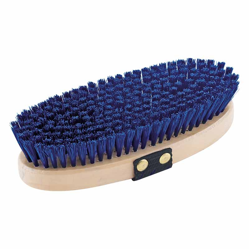 Body Brush HG Royal Blue