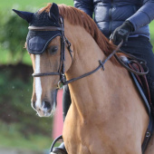 Ear Bonnet Show-Line Soundless Navy Blue Ear Bonnet Show-Line Soundless Navy Blue