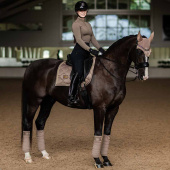 Dressage Saddle Pad ES Champagne Dressage Saddle Pad ES Champagne