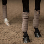 Bandages ES Champagne Bandages ES Champagne