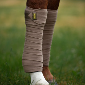 Bandages ES Champagne Bandages ES Champagne