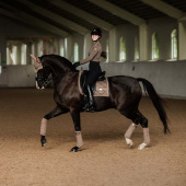 Bandages ES Champagne Bandages ES Champagne