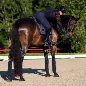 Bandages ES Midnight Blue Bandages ES Midnight Blue