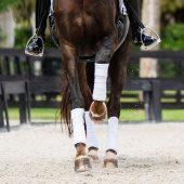 Bandages ES White Perfection Silver Bandages ES White Perfection Silver