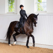 Ear Bonnet ES Black Edition Ear Bonnet ES Black Edition