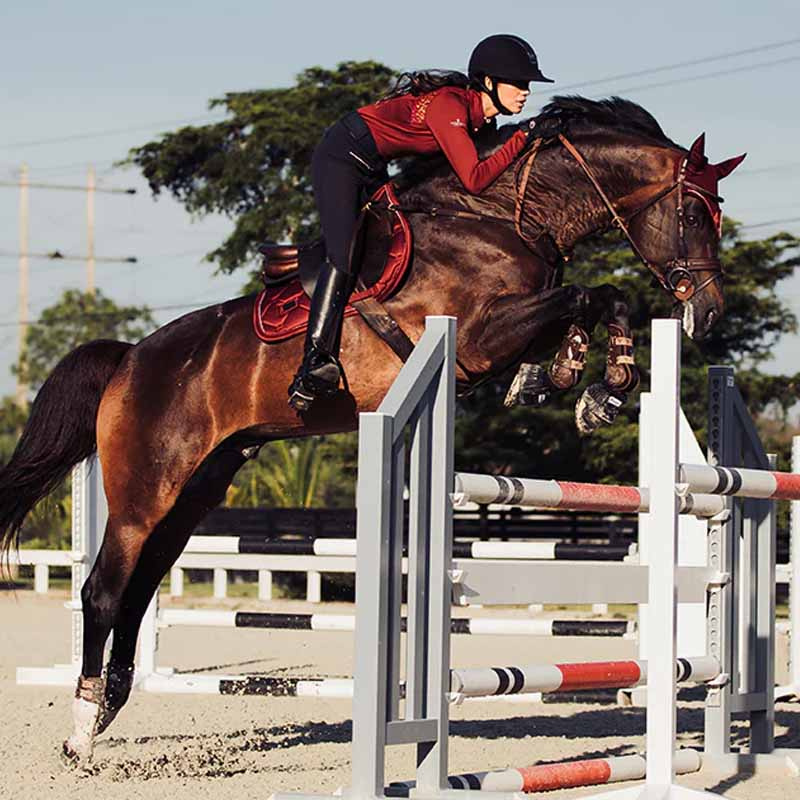 Saddle Pad ES Bordeaux