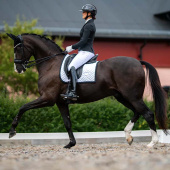 Ear Bonnet ES Clean Soundless Black Edition Ear Bonnet ES Clean Soundless Black Edition