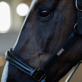 Anatomical Leather Halter ES Glimmer Black Edition Anatomical Leather Halter ES Glimmer Black Edition