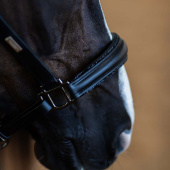 Anatomical Leather Halter ES Glimmer Black Edition Anatomical Leather Halter ES Glimmer Black Edition