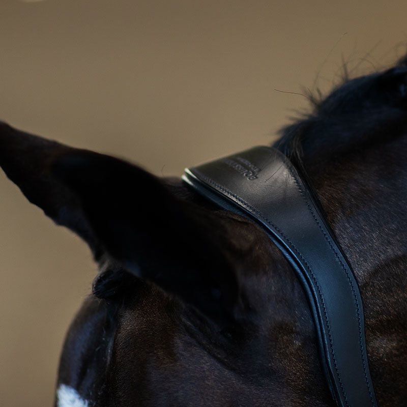 Anatomical Leather Halter ES Glimmer Black Edition