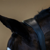 Anatomical Leather Halter ES Glimmer Black Edition Anatomical Leather Halter ES Glimmer Black Edition