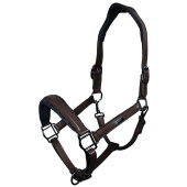Anatomical Leather Halter ES Glimmer All Brown Anatomical Leather Halter ES Glimmer All Brown