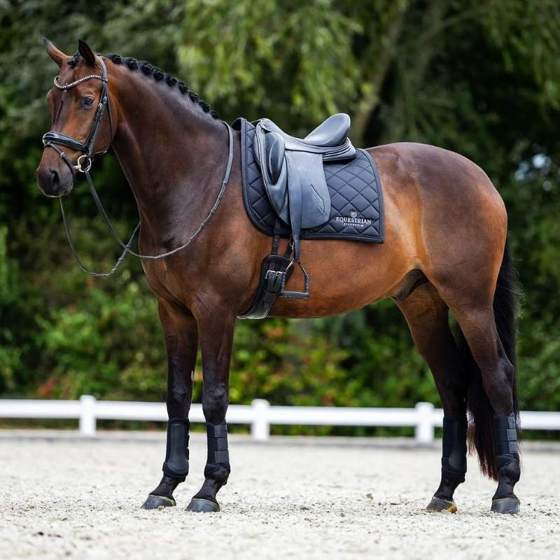 Dressage Saddle Pad ES Line Black